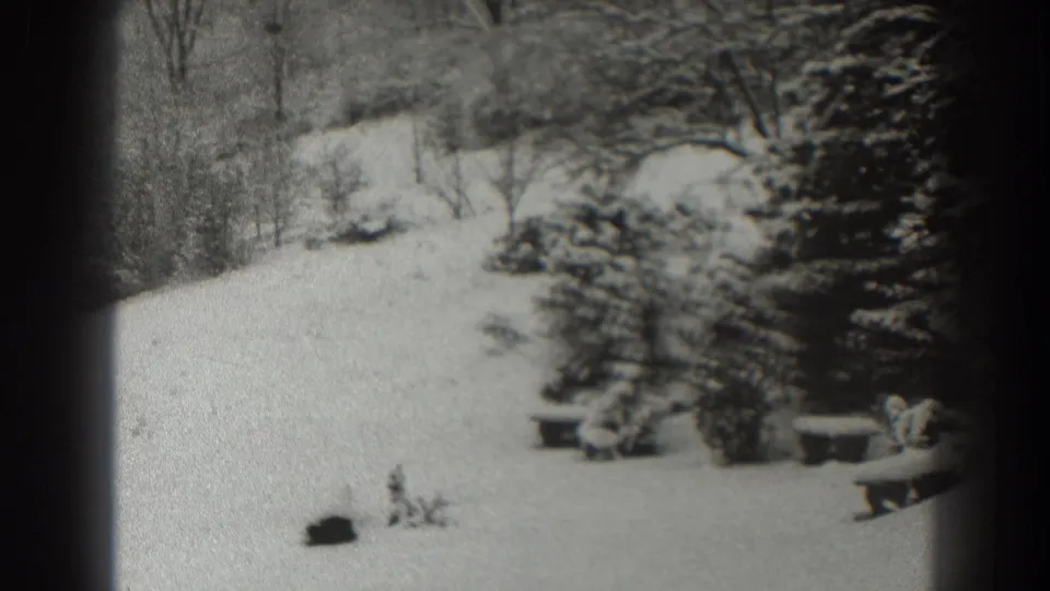 1938 8mm home-movie frame from Martinsburg, West Virginia, showing a snowy clearing bordered by trees and evergreen shrubs.