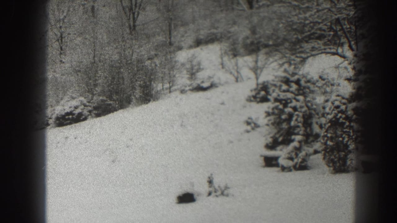 Snowy hillside clearing with shrubs, bare trees, and a low bench-like object.