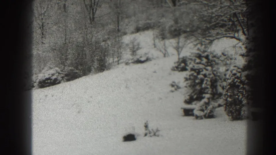 Black-and-white 8mm frame of a Martinsburg winter clearing, with snow-covered ground, trees, and a low object near the shrubs.