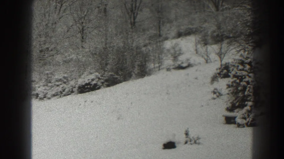 Martinsburg-area 1938 home-movie frame showing snow-covered open ground, winter trees, and a small dark foreground object.