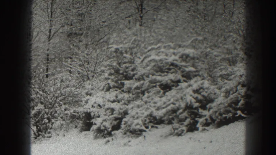 Close winter view in the 1938 Martinsburg 8mm footage, with snow-heavy evergreen shrubs and bare trees beyond.