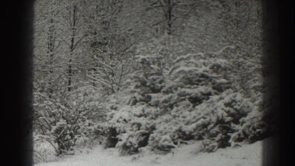 1938 Martinsburg, West Virginia home-movie frame showing snowy evergreens, bare trees, and white ground cover in a quiet wooded area.