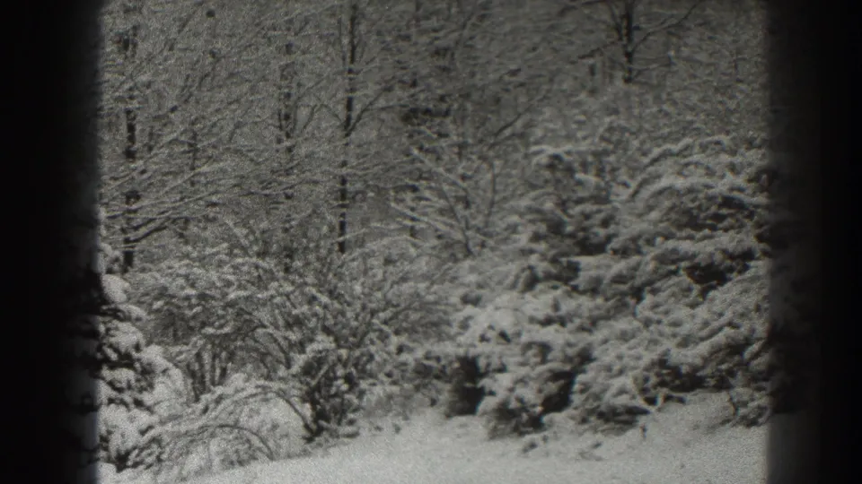 1938 Martinsburg winter frame with snow-laden shrubs and trees, framed by dark 8mm film edges.