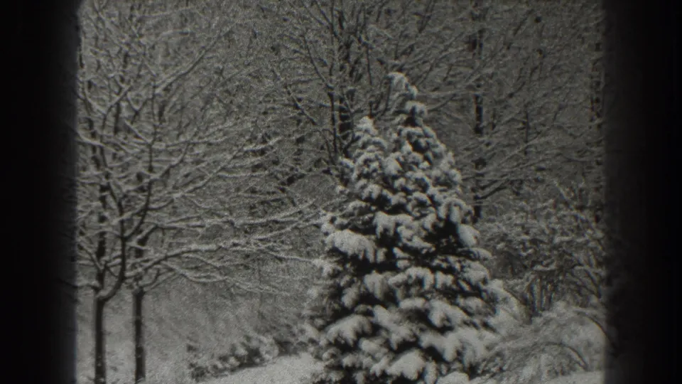 1938 Martinsburg-area 8mm frame showing a snow-covered evergreen partly offset by thin bare trees and wooded background.
