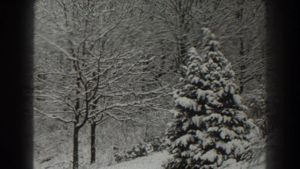 1938 Martinsburg-area 8mm frame showing a snow-covered pine at right with bare trees and snowy undergrowth behind it.