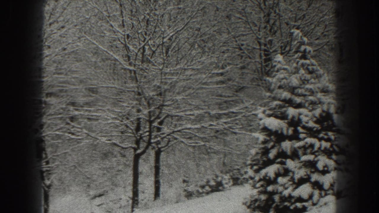 Snow-covered trees seen through dark vertical edges in a black-and-white winter scene.
