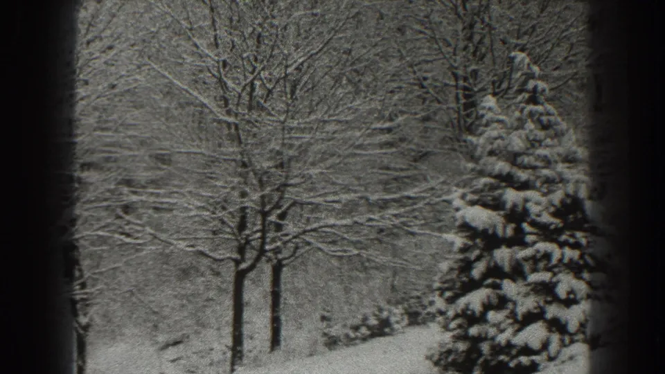 1938 Martinsburg home-movie frame showing snow on bare trees and an evergreen, with dark edges suggesting a sheltered window view.