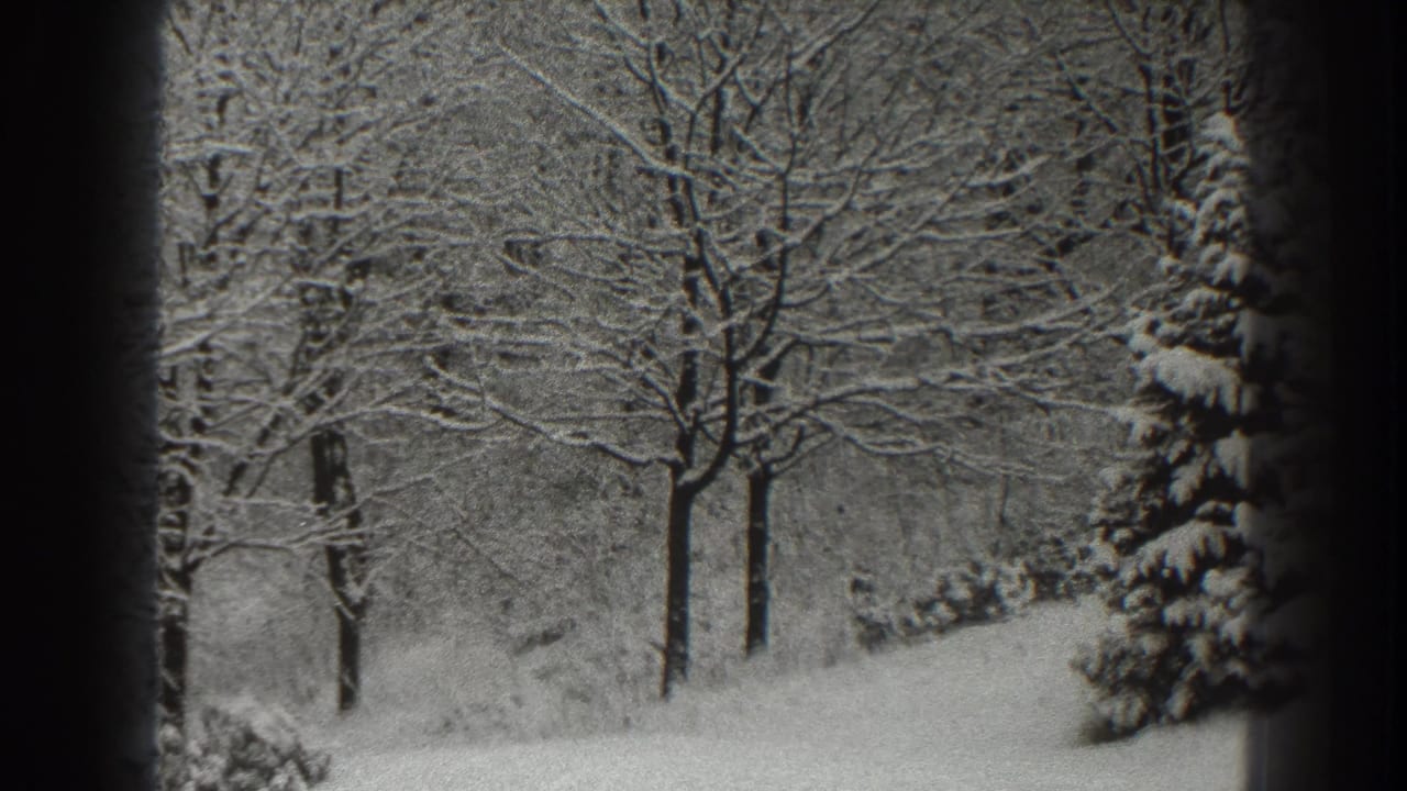 Snowy trees and a sloped white ground framed by dark vertical foreground edges.