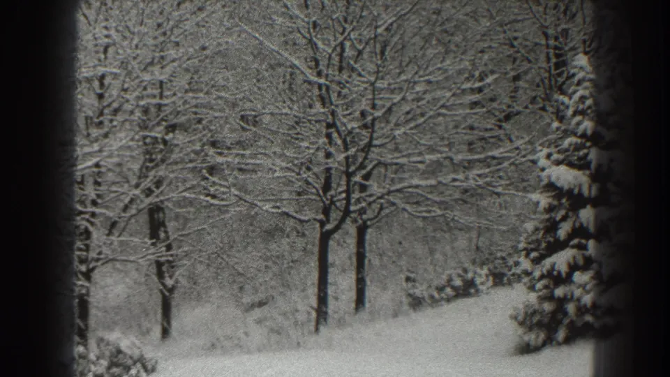 Martinsburg winter landscape on 8mm film, with bare branches, snow-covered ground, and a dark foreground divider during the pan.