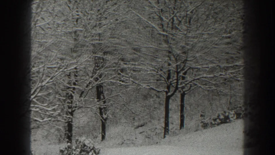 1938 home-movie frame from Martinsburg showing leafless trees against a snowy slope, partly bordered by dark foreground edges.