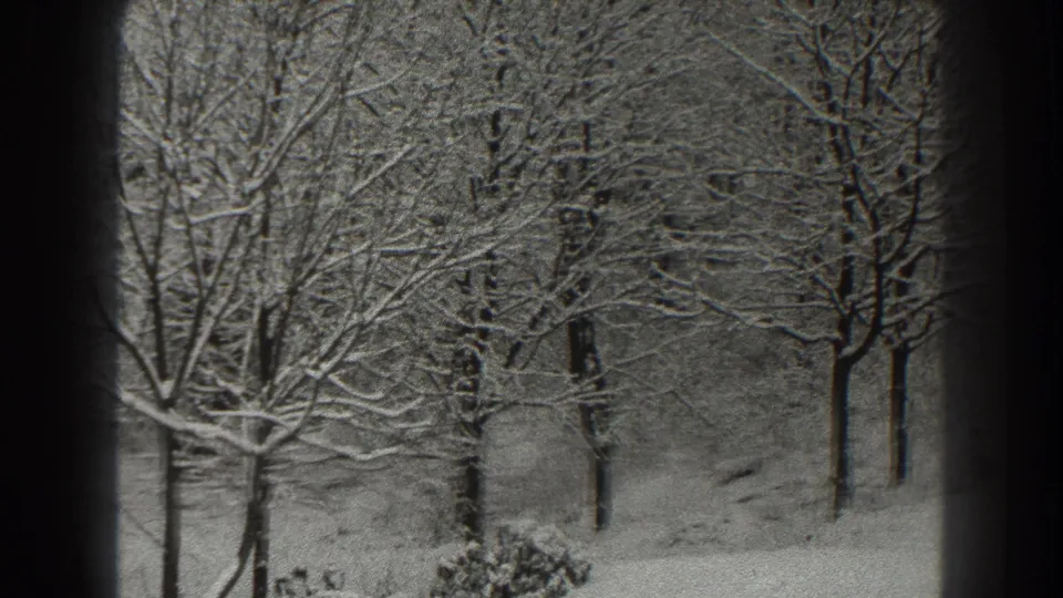 Final 8mm frame of the Martinsburg winter pan, showing snow-coated branches, trunks, shrubs, and a pale sloping ground.