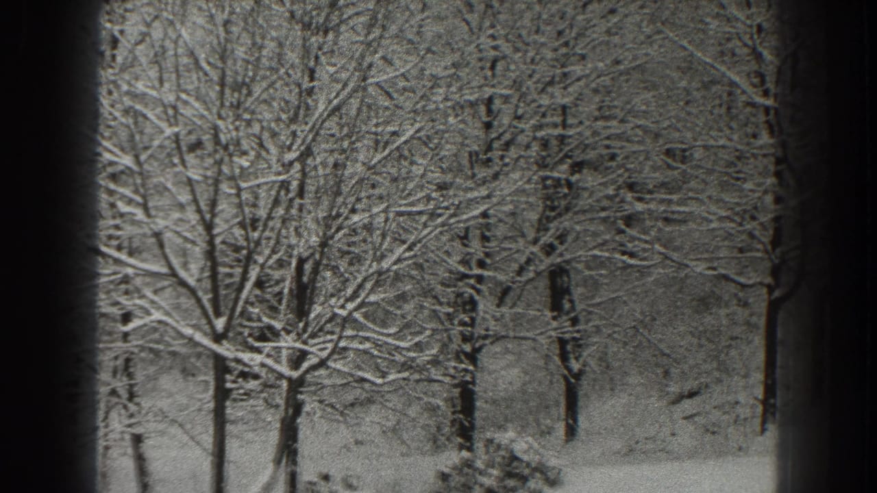 Snow-covered bare trees in a winter woodland seen on black-and-white 8mm film.