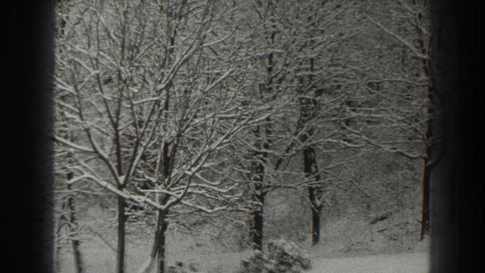 1938 Martinsburg, West Virginia home-movie frame showing bare trees coated in snow within a quiet wooded landscape.