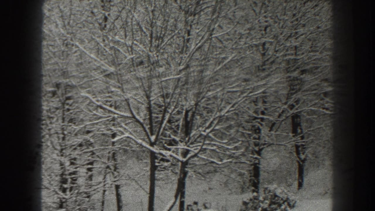 A 1938 Martinsburg winter woodland view, with snow outlining bare branches and tree trunks across the frame.