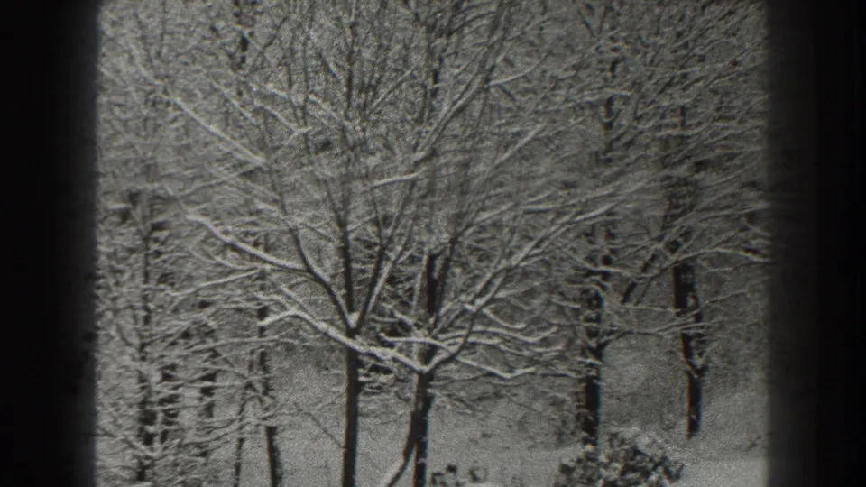 A 1938 Martinsburg winter woodland view, with snow outlining bare branches and tree trunks across the frame.