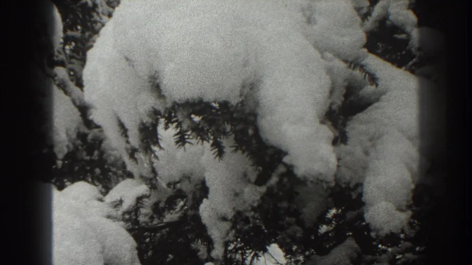 Snow-loaded evergreen branches fill the foreground in this 1938 Martinsburg home-movie winter forest frame.