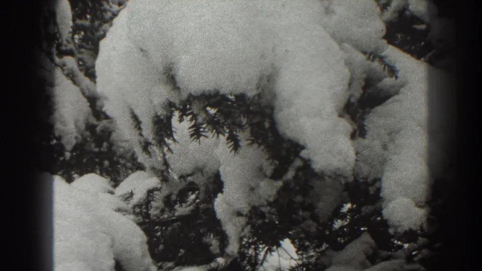 1938 Martinsburg home-movie frame showing heavy snow packed onto evergreen boughs and dark needles.