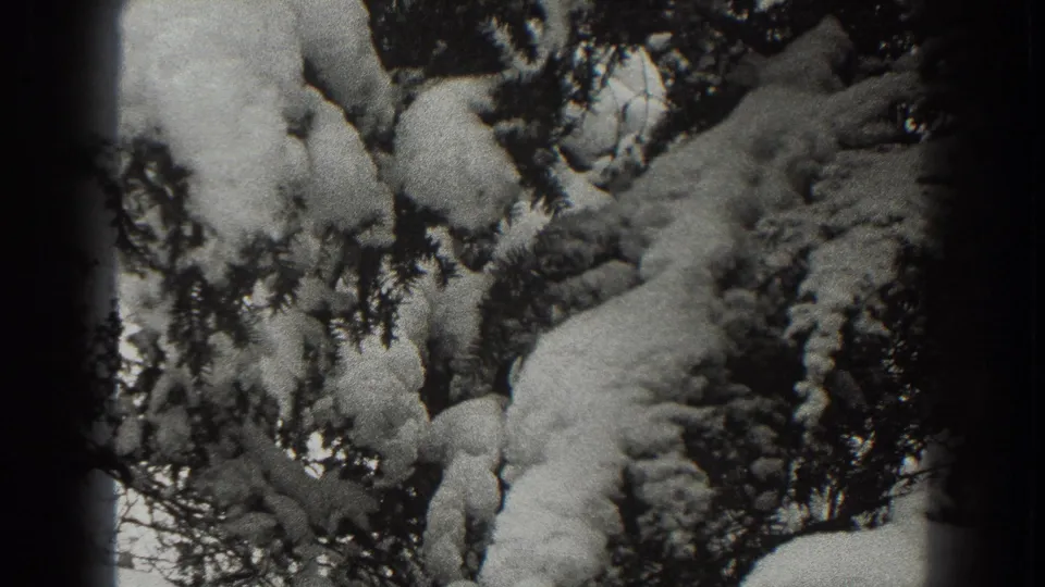Black-and-white 8mm frame of snow-loaded evergreen branches in Martinsburg, West Virginia, based on supplied clip metadata.