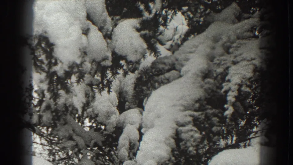 Snow-laden evergreen branches fill the frame, with black-and-white 8mm grain and soft contrast from the 1938 home movie.