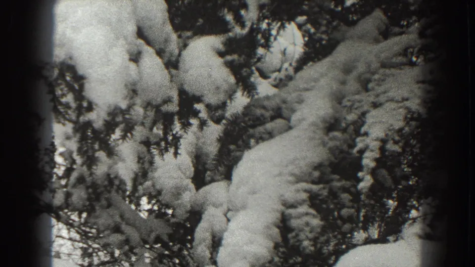 Final frame of the Martinsburg winter clip showing snow mounded across evergreen limbs in grainy black-and-white 8mm footage.