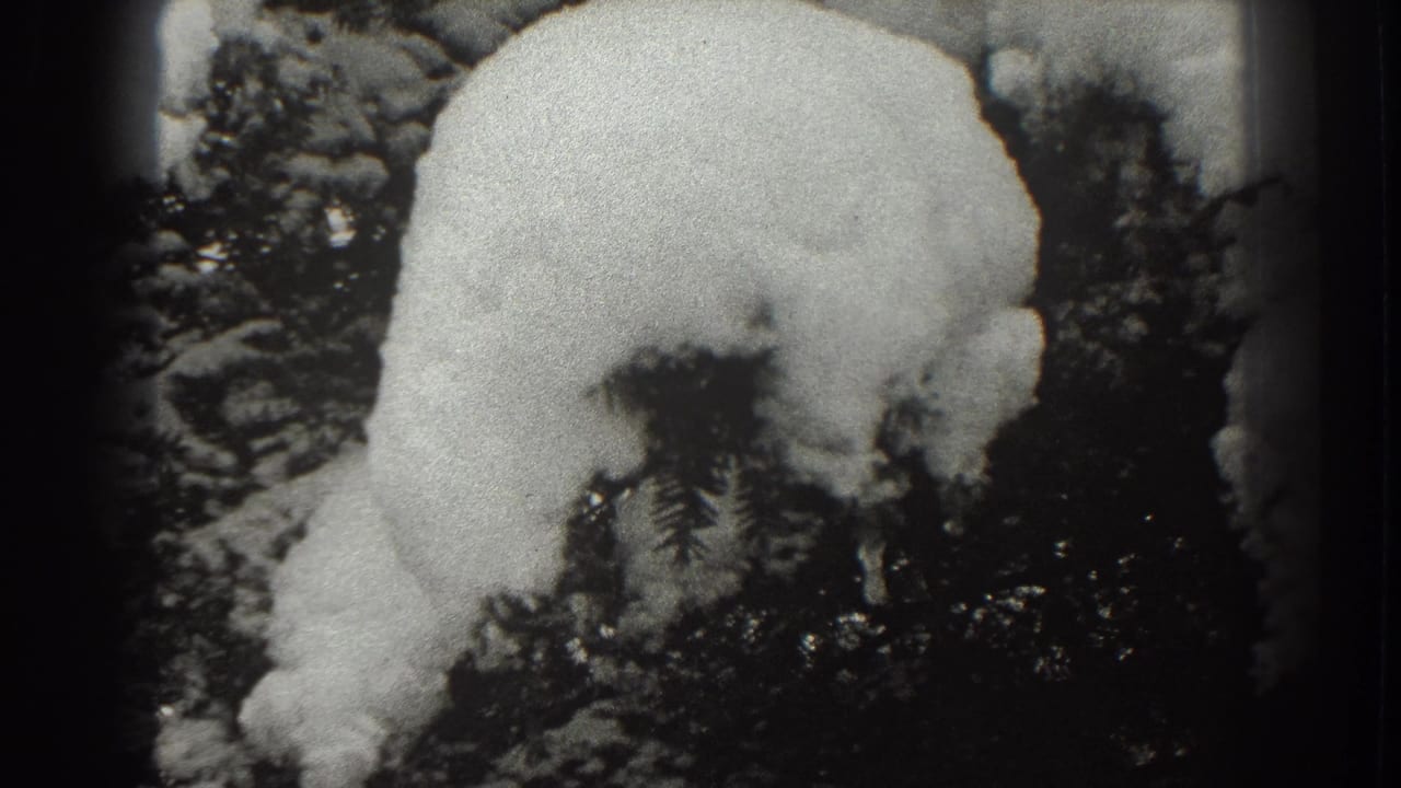 Snow-covered rounded white form among dark evergreen branches.