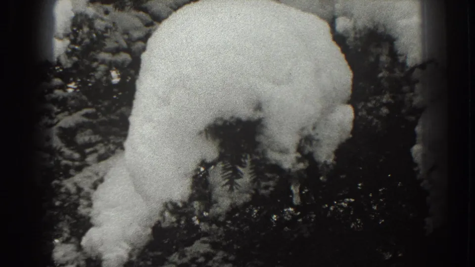 1938 Martinsburg 8mm frame showing a heavy white snow-covered form against dark evergreen branches in a winter landscape.