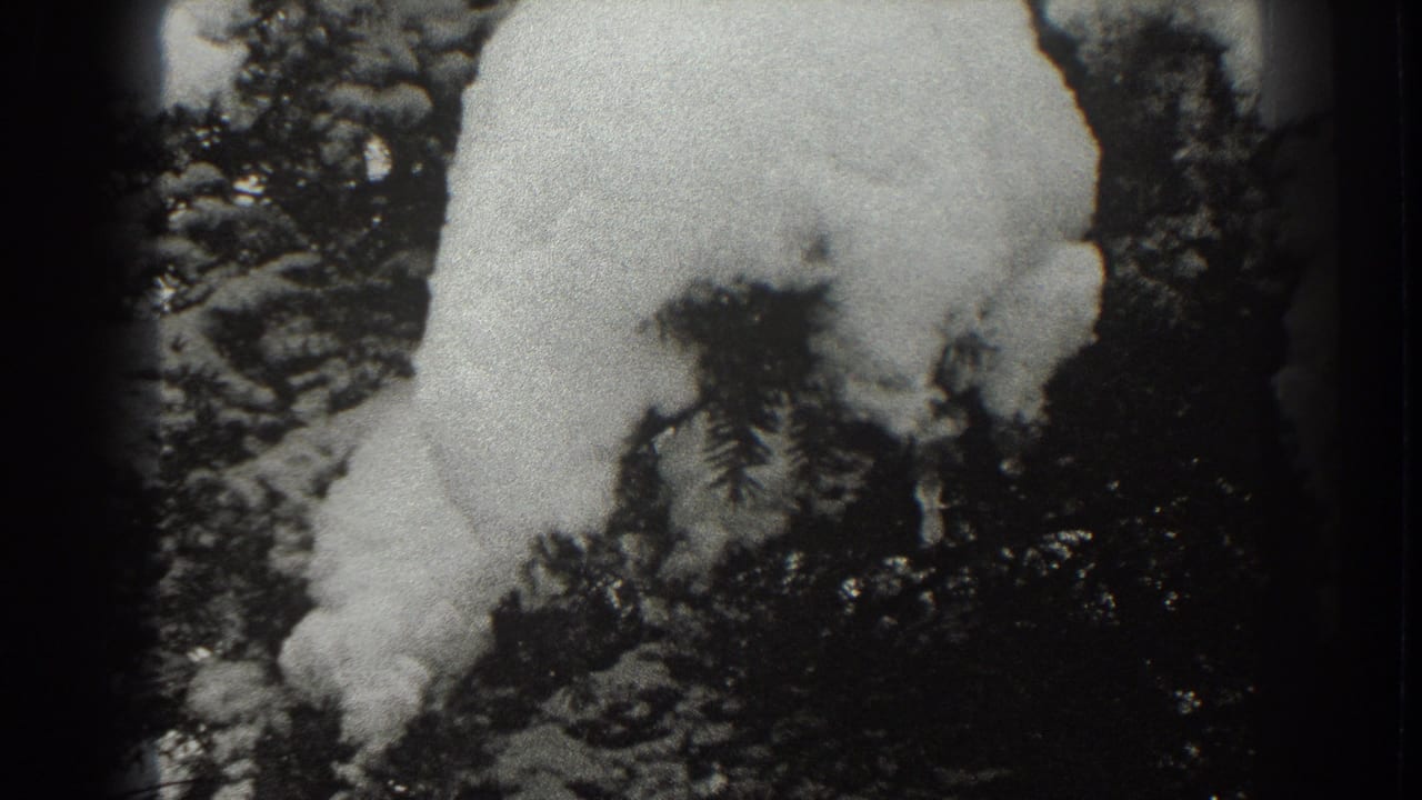 Snow-covered mound or animal-like form beside dark winter foliage.