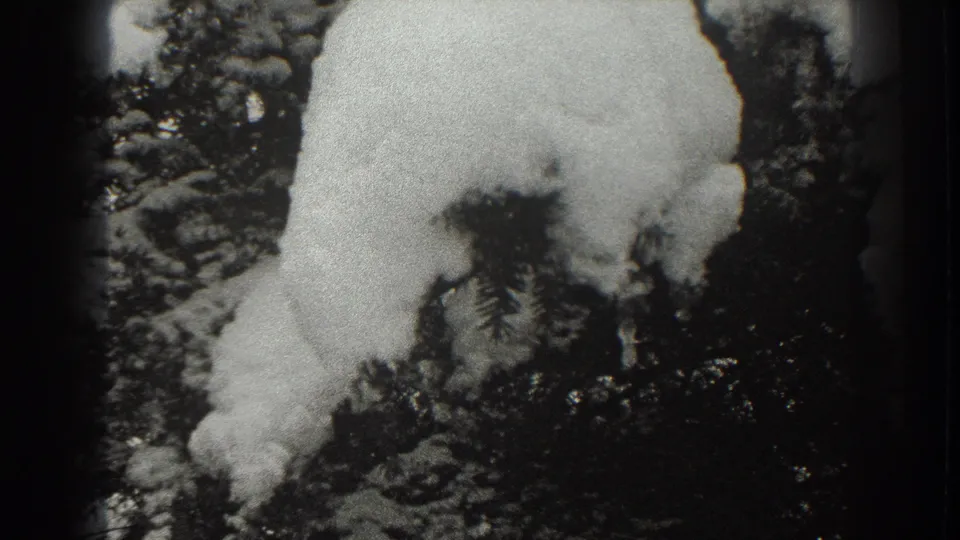 Snowy 1938 Martinsburg frame with an animal-like white mound or snowdrift framed by dark trees and winter foliage.