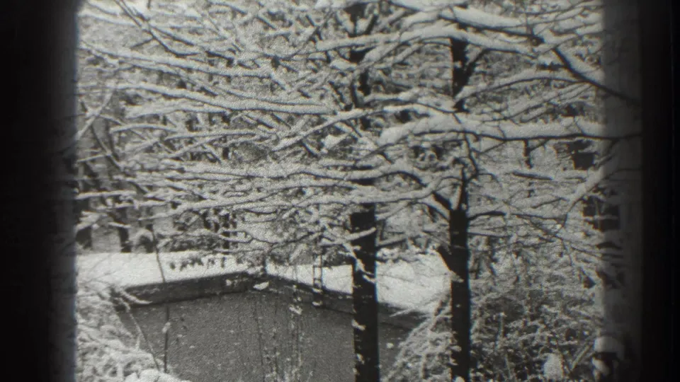 1938 Martinsburg winter view with snow-coated bare branches, dark tree trunks, and a small structure below.