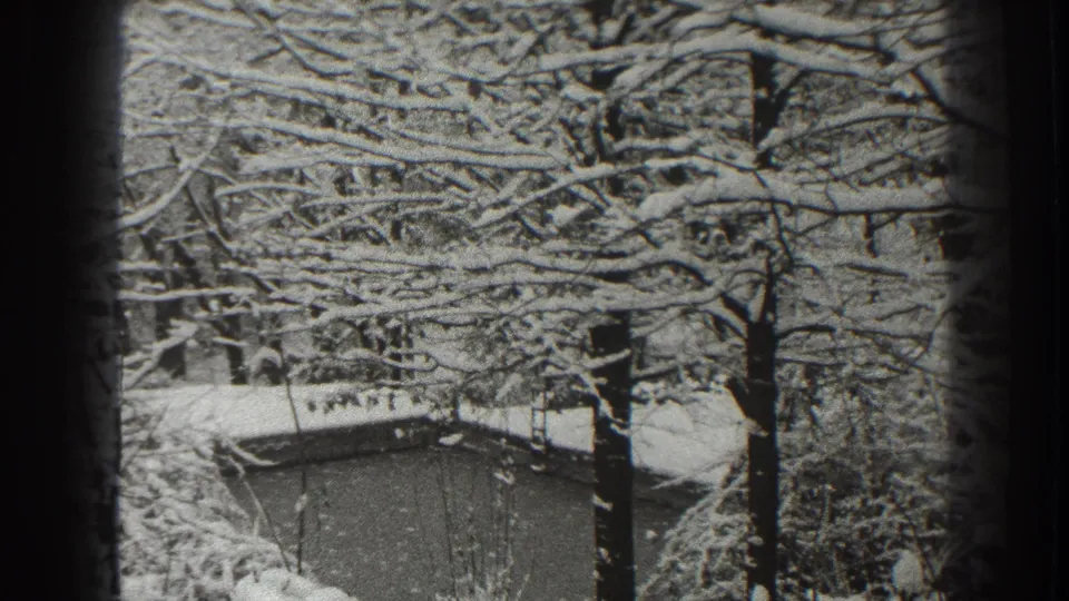 Black-and-white 8mm frame from Martinsburg in 1938 showing snow-covered branches, dark trunks, and a small structure beneath.