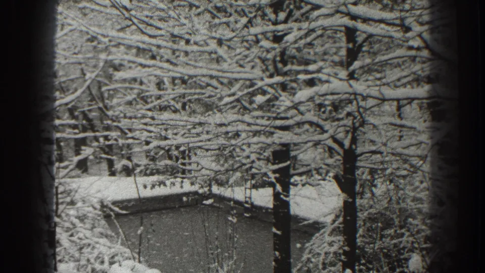 1938 Martinsburg home-movie frame showing snow-heavy branches, tree trunks, and a small structure partly obscured behind them.
