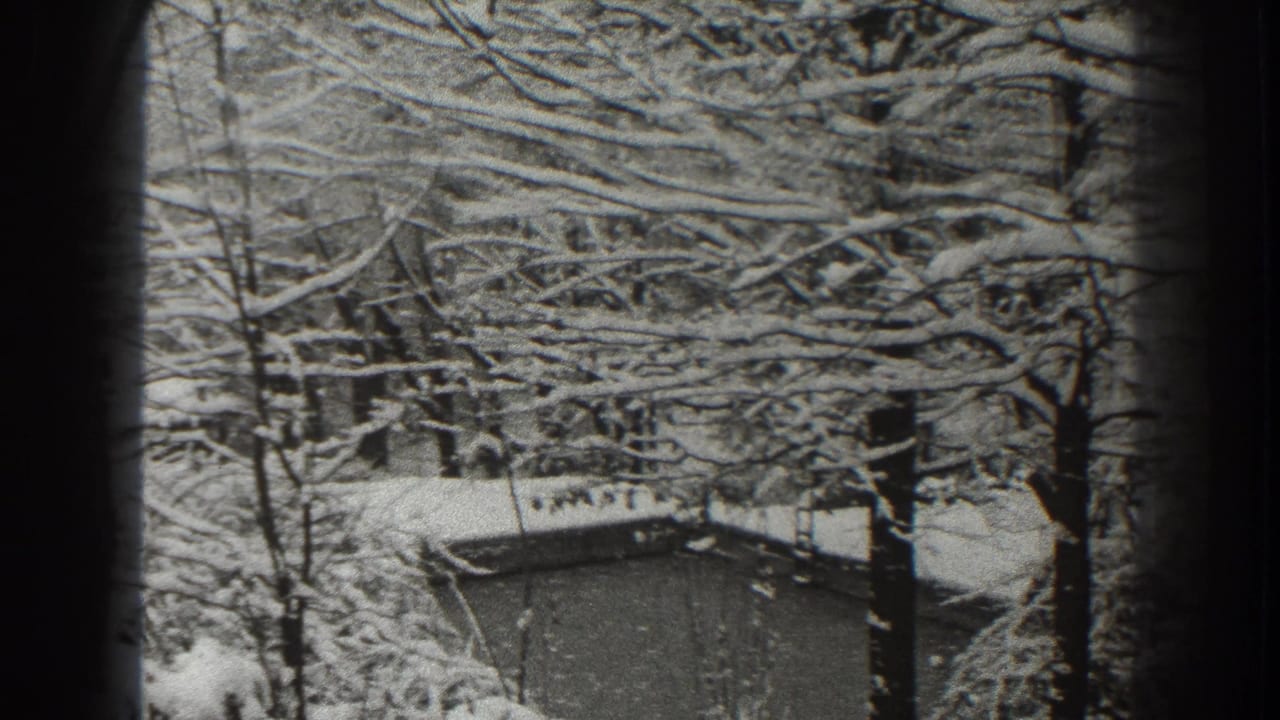 Snow-covered trees in Martinsburg, West Virginia, with a low roof or small building partly visible through the branches.