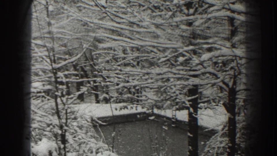 Snow-covered trees in Martinsburg, West Virginia, with a low roof or small building partly visible through the branches.