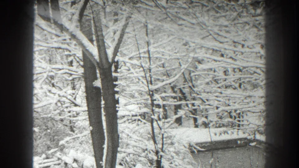A closer winter view of dark tree trunks, snowy branches, and a partially visible roofline in the 1938 Martinsburg footage.