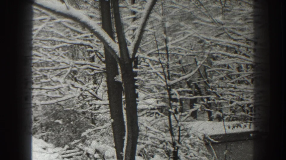 Snowy winter trees and branches frame a small structure at the lower right in this 1938 Martinsburg home-movie still.