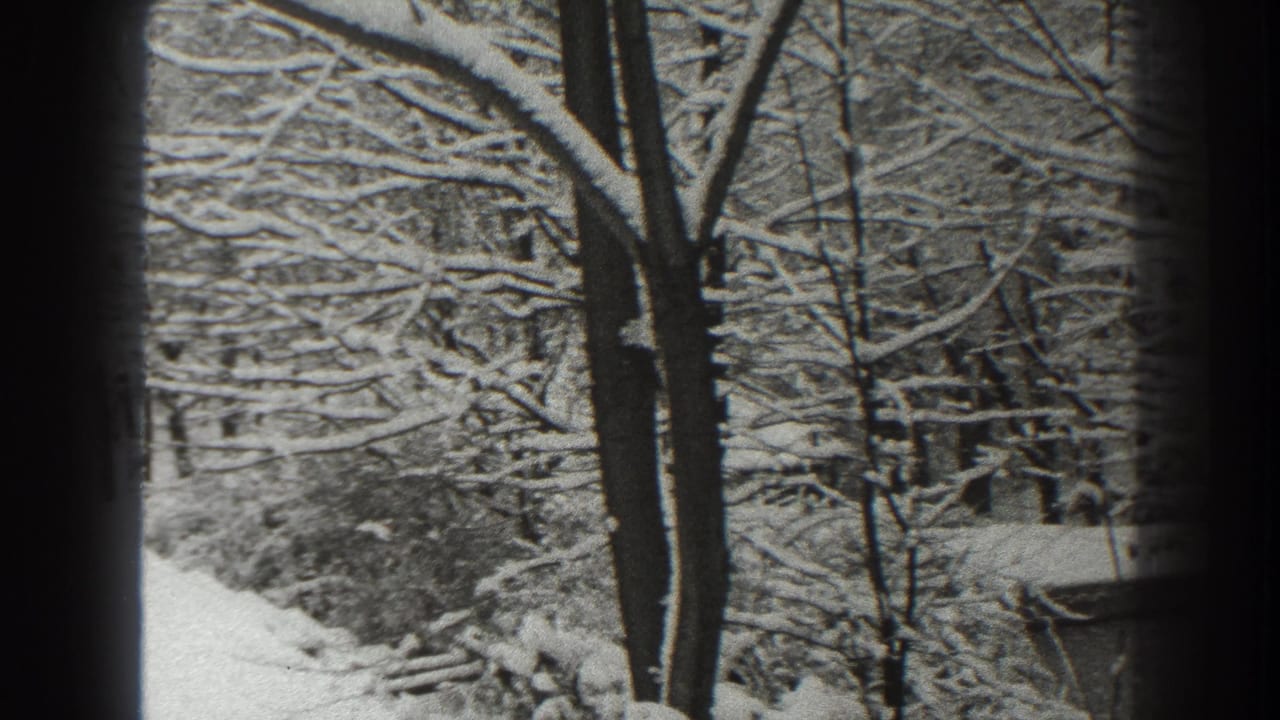 Snow-covered street or path framed by bare trees after heavy winter weather.