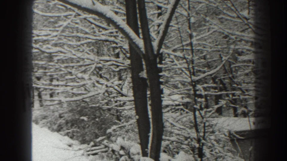 1938 Martinsburg winter view with snow on branches and a quiet street or path seen through foreground tree trunks.
