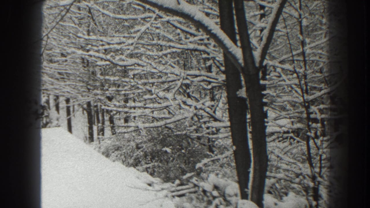 A quiet 1938 Martinsburg snow scene shows a pale street or path receding between trees with snow weighing on branches.
