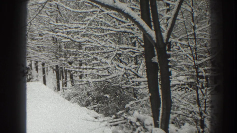 A quiet 1938 Martinsburg snow scene shows a pale street or path receding between trees with snow weighing on branches.