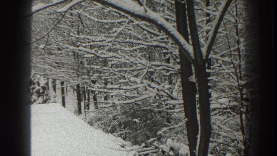 Black-and-white 8mm frame of a snow-covered Martinsburg street or path bordered by bare trees and low shrubs in 1938.