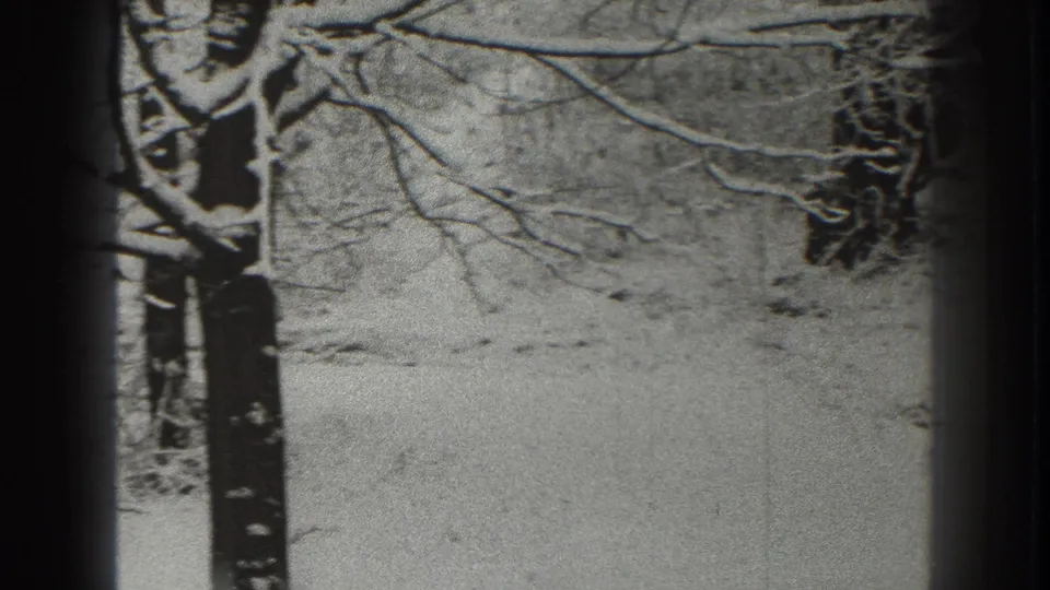 Final frame shows a soft 1938 Martinsburg winter view with a prominent tree trunk and a snow-covered open street or path.