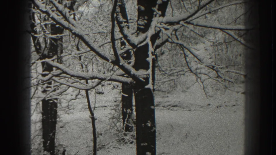 1938 Martinsburg, West Virginia home-movie frame showing bare trees coated with snow in a quiet winter forest.