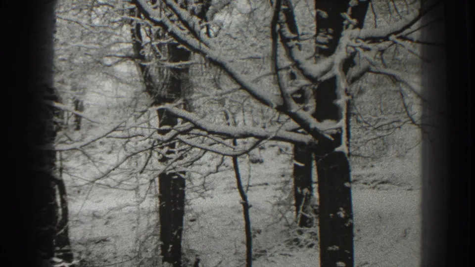 Black-and-white 8mm frame from Martinsburg showing frosty bare branches crossing a snowy wooded landscape.