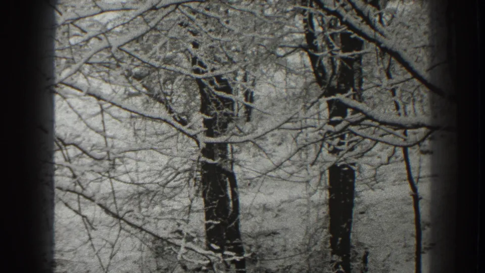 Late-1930s 8mm frame showing a quiet Martinsburg winter forest, with snow on branches and dark trunks.