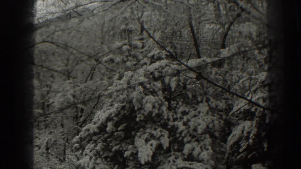 1938 Martinsburg, West Virginia home-movie frame showing snow-laden evergreen boughs and bare tree limbs in close view.