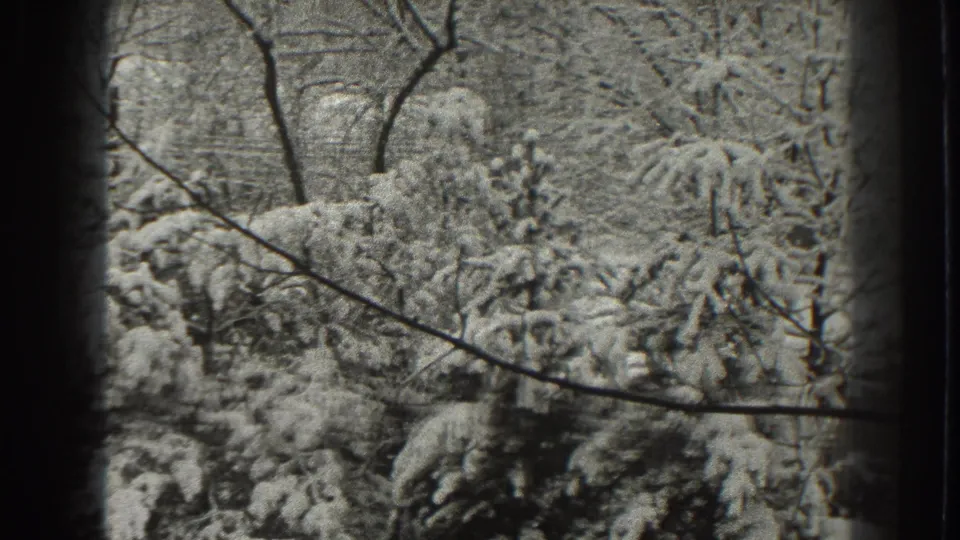 Black-and-white 8mm home-movie frame from Martinsburg showing snowy evergreens behind a web of bare winter branches.