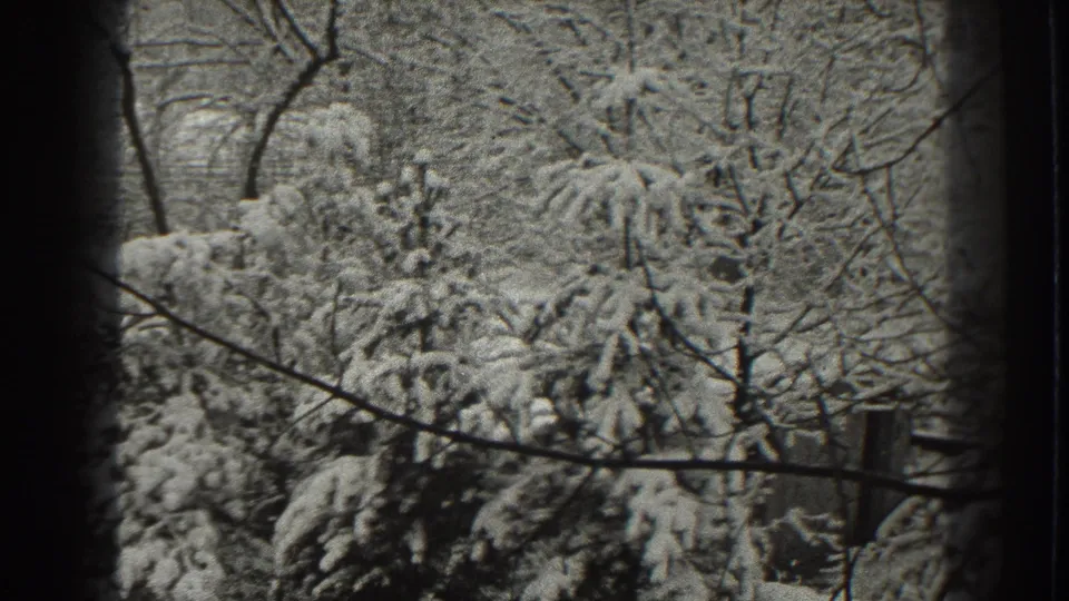Martinsburg, West Virginia winter forest frame with snow on evergreen boughs, bare limbs, and visible 8mm scan borders.