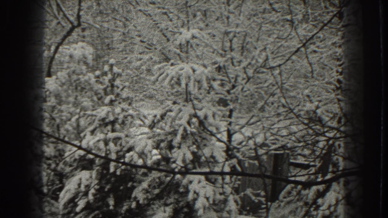 Snow-covered evergreens and bare branches behind dark 8mm frame borders.