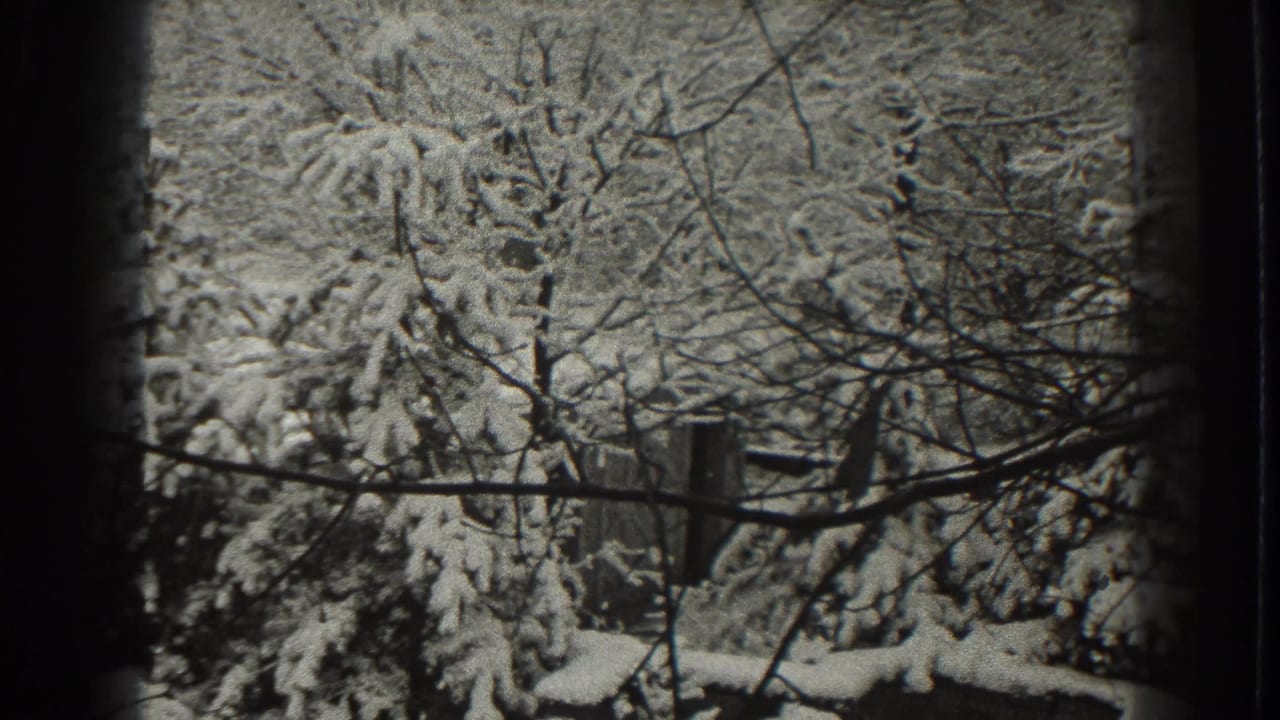 Black-and-white 8mm frame from Martinsburg showing heavy snow on trees and a fence partly visible through winter branches.
