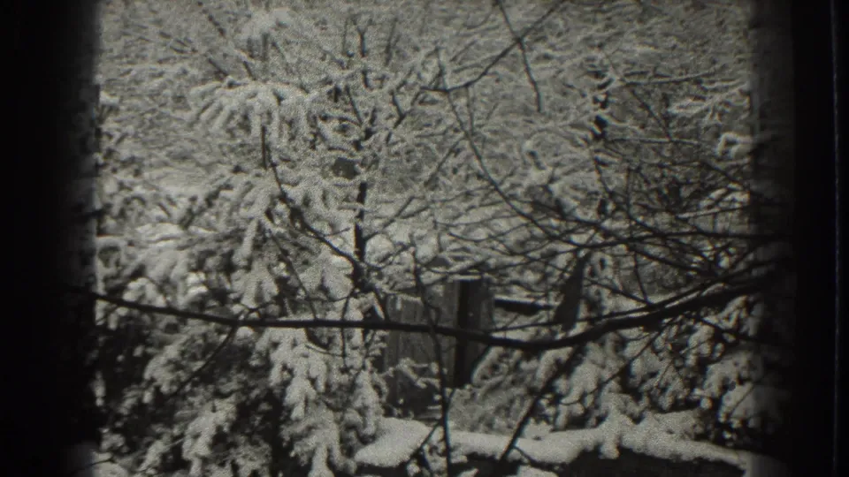 Black-and-white 8mm frame from Martinsburg showing heavy snow on trees and a fence partly visible through winter branches.